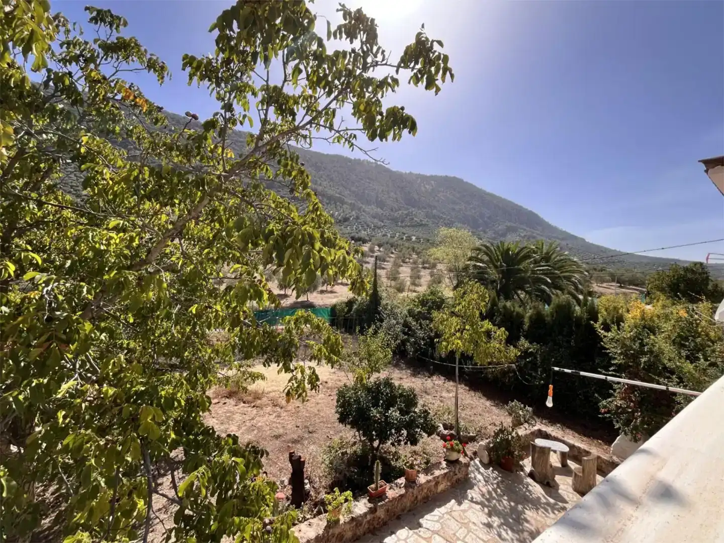 Jardí de Finca rústica en venda en Rute amb Balcó