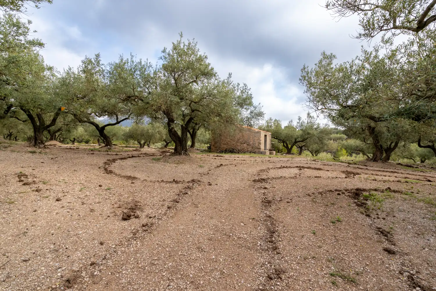 Terreno en venta en Mas de Barberans