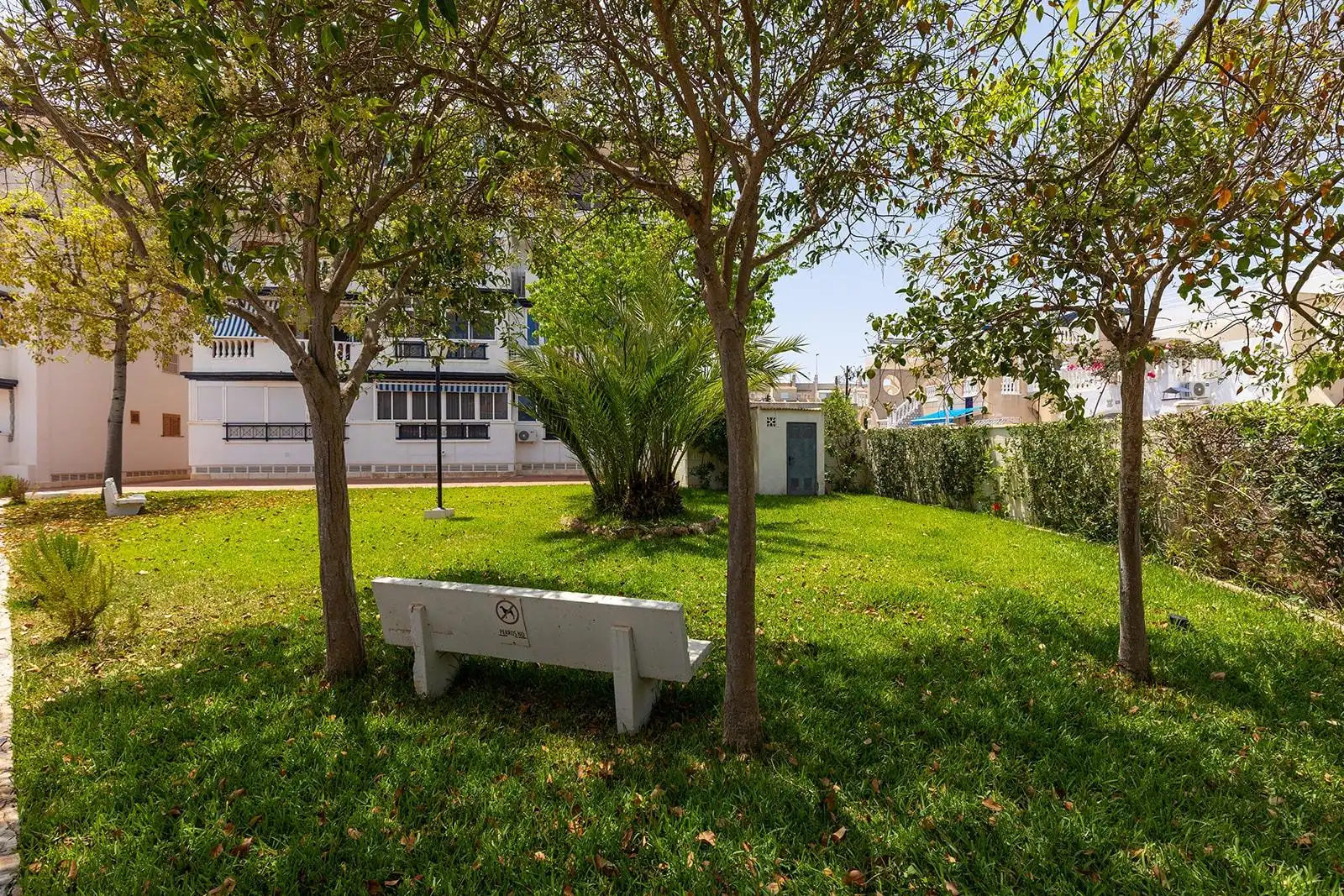 Reihenhaus mit Terrasse zum Verkauf in La Mata, imagen 25