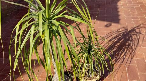 Photo 2 of Attic for sale in Sagnier - Plaça de Catalunya, Barcelona
