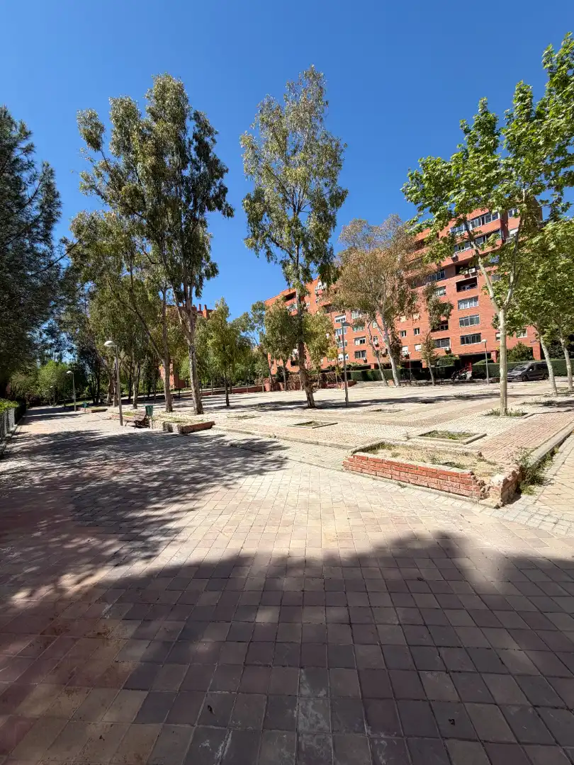 Gewerbefläche zum Verkauf in Calle de Luis de Hoyos Sainz, imagen 27