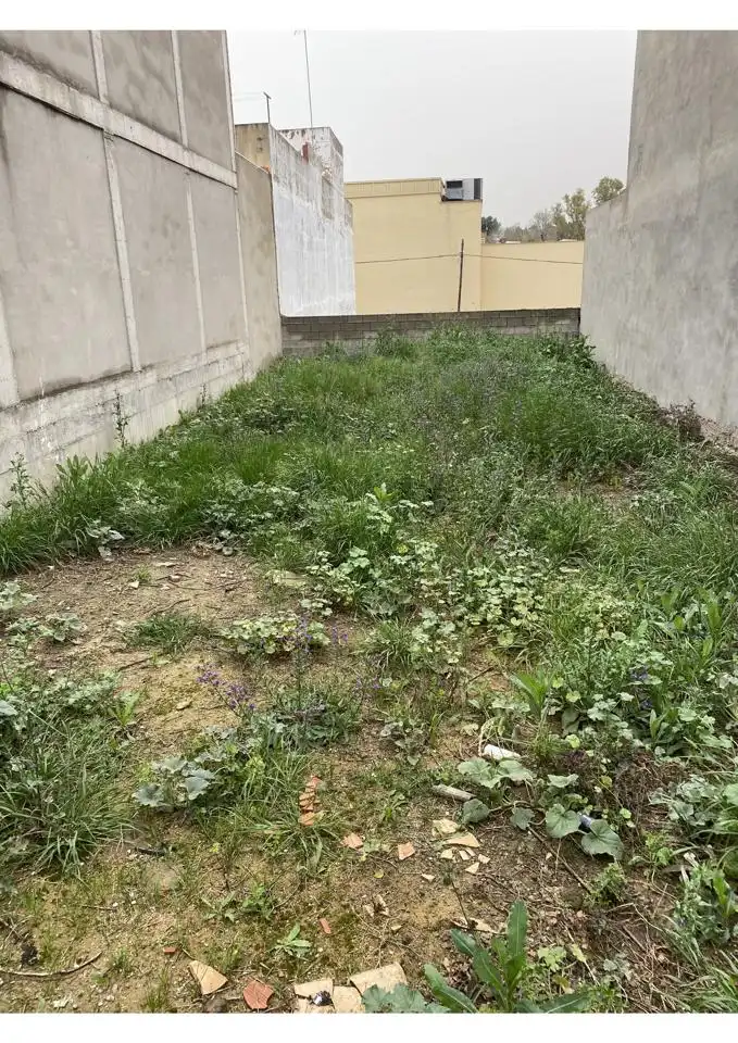 Lands and plots for sale in Coria del Río, imagen 3