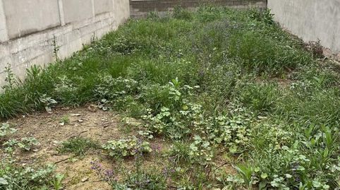 Solar en cantalobos, imatge 3