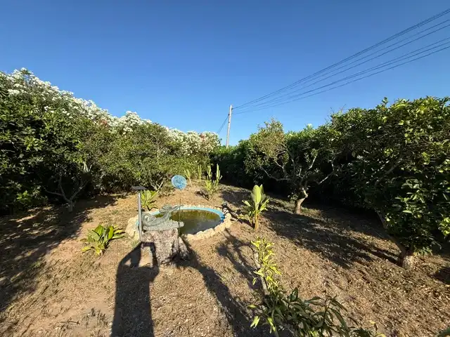 Houses for sale in Cullera  with Terrace
