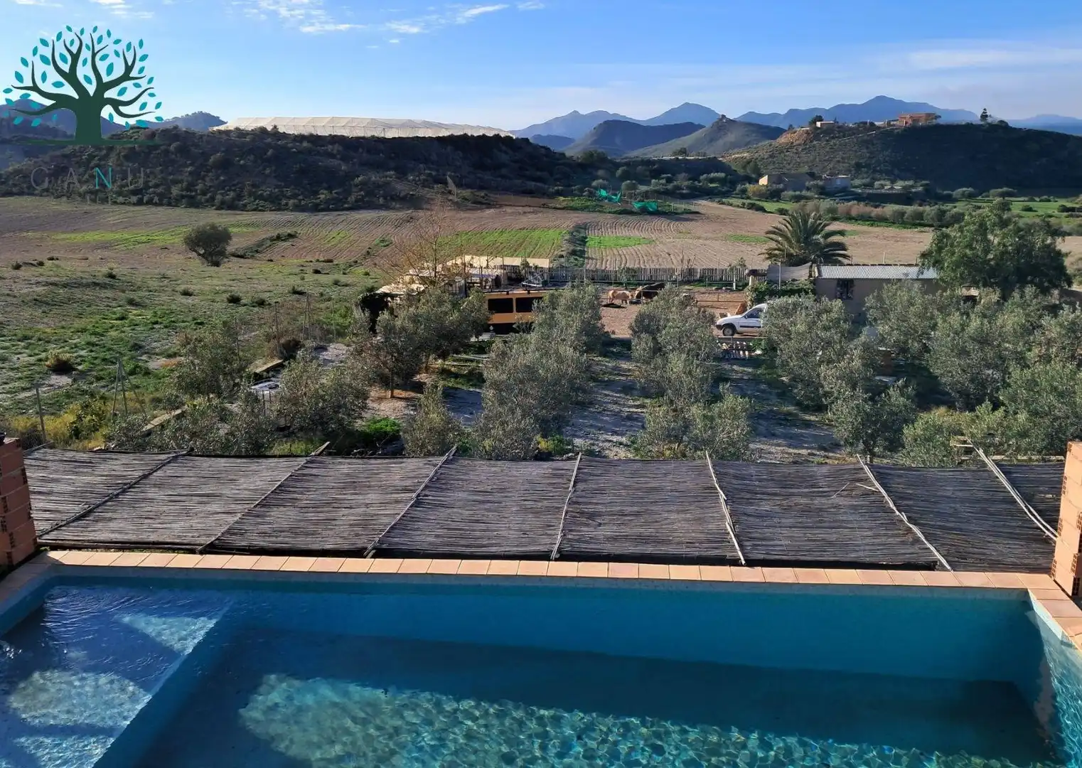 Casa con piscina en venta en EL ALGARROBO, imagen 3