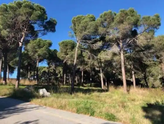 Terreno rustico in vendita a C/ S Daniel, imagen 12