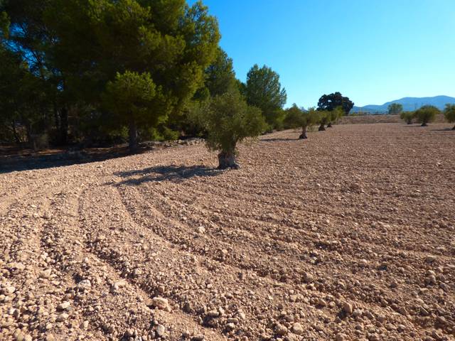 Terreno en Venta en Carrer de Biar en Banyeres de Mariola