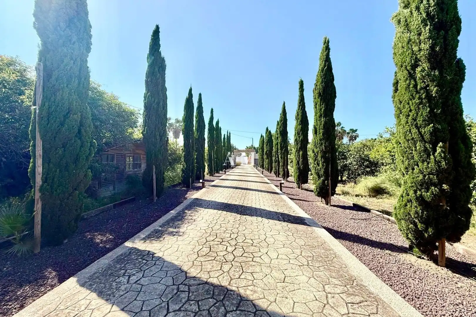 Vista exterior de Casa o chalet de alquiler en San Miguel de Salinas con Aire acondicionado, Calefacción y Jardín privado