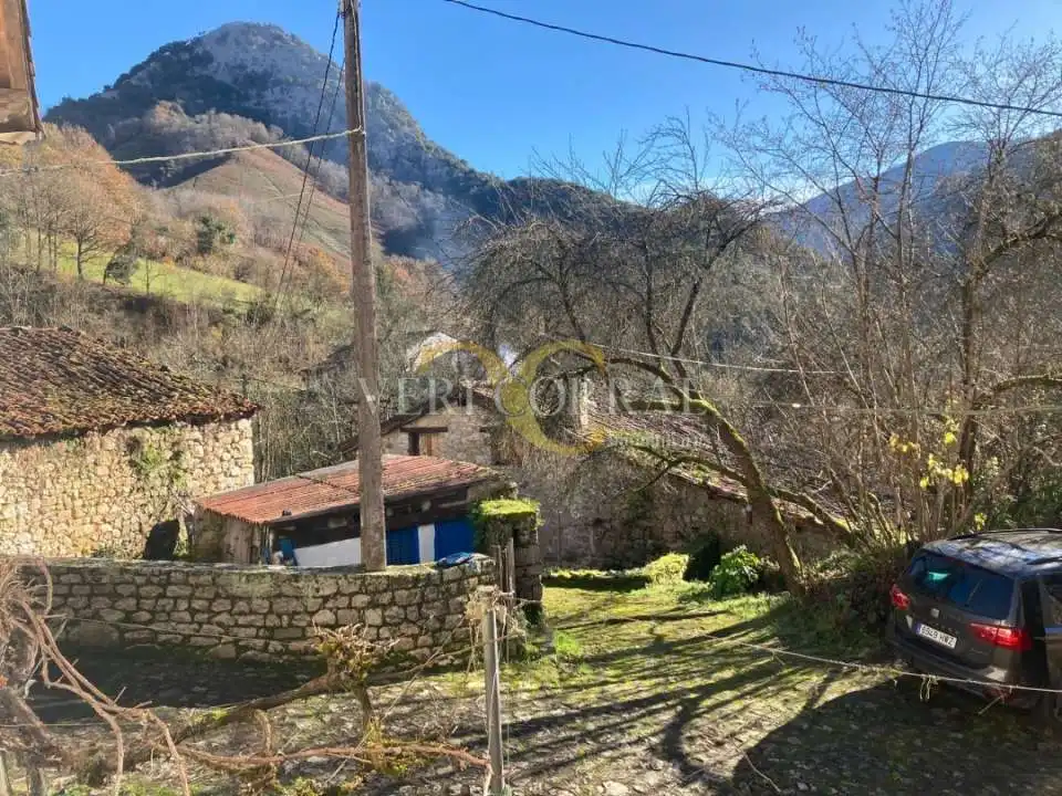Houses for sale in Besnes, Peñamellera Alta