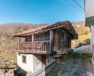 Vista exterior de Casa o xalet en venda en Aller amb Jardí privat i Traster