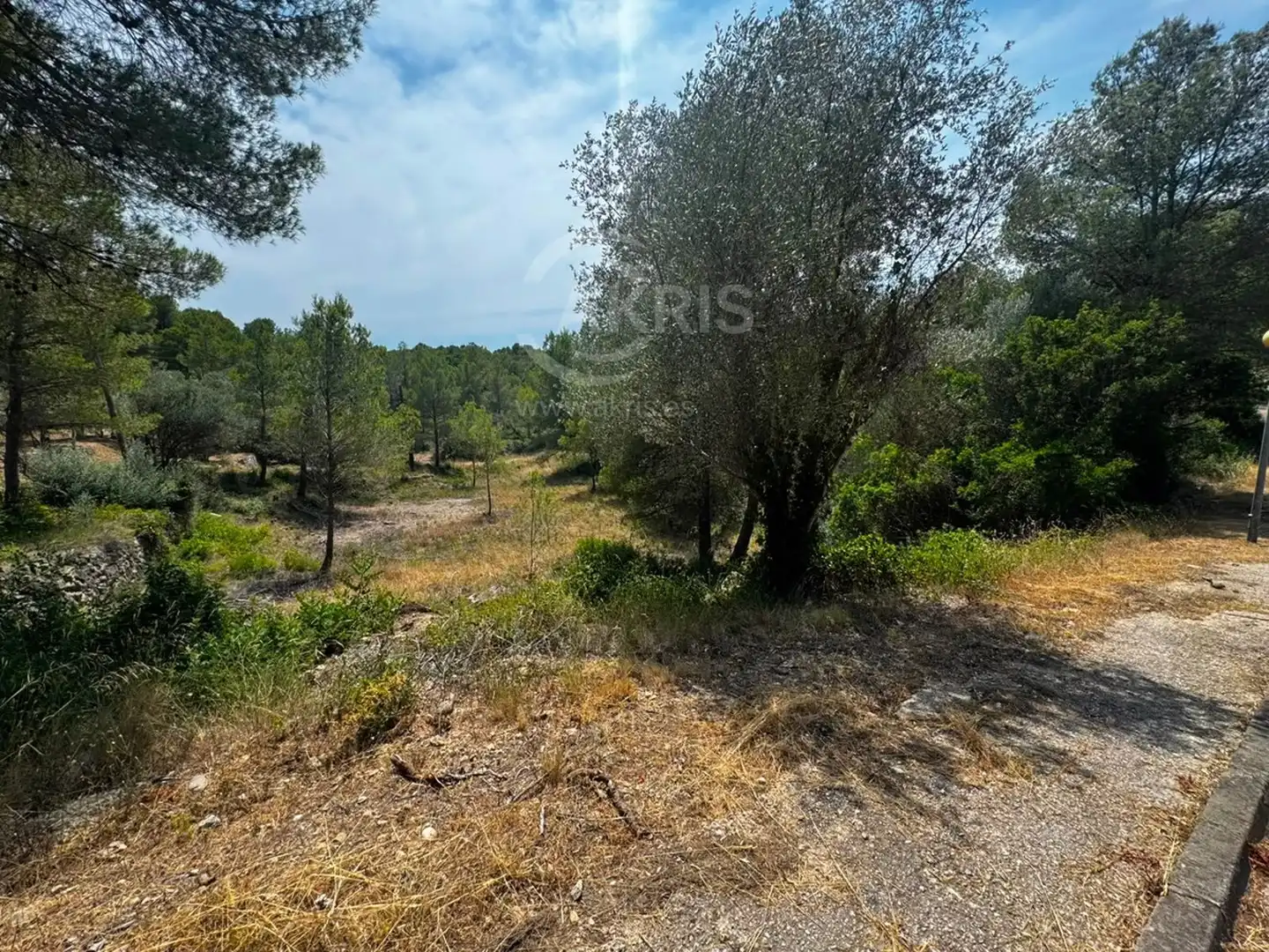 Terreny rústic en venda a Torre Gassia, imagen 4