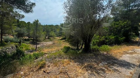 Terreno urbanizable en ptda Coll de Lalba Tortosa, imatge 4