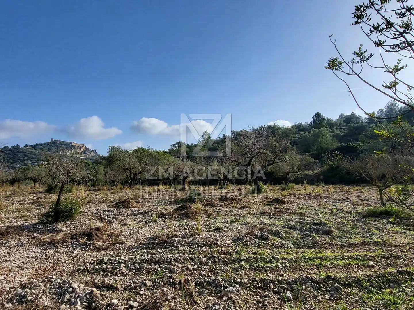 Rural land for sale in Cervera del Maestre, imagen 13