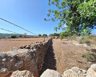 Casa o xalet en venda en Costitx