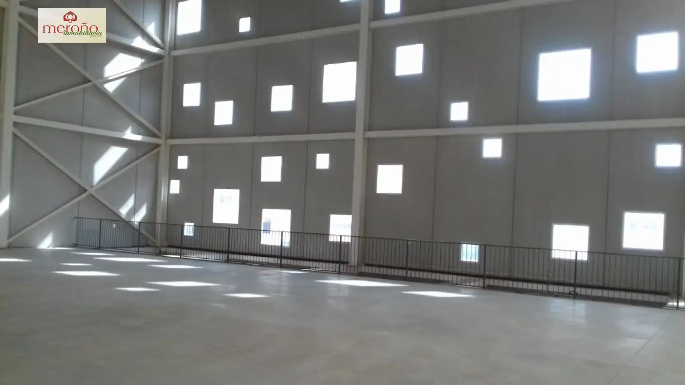 Nave industrielle à vendre à Elche ciudad