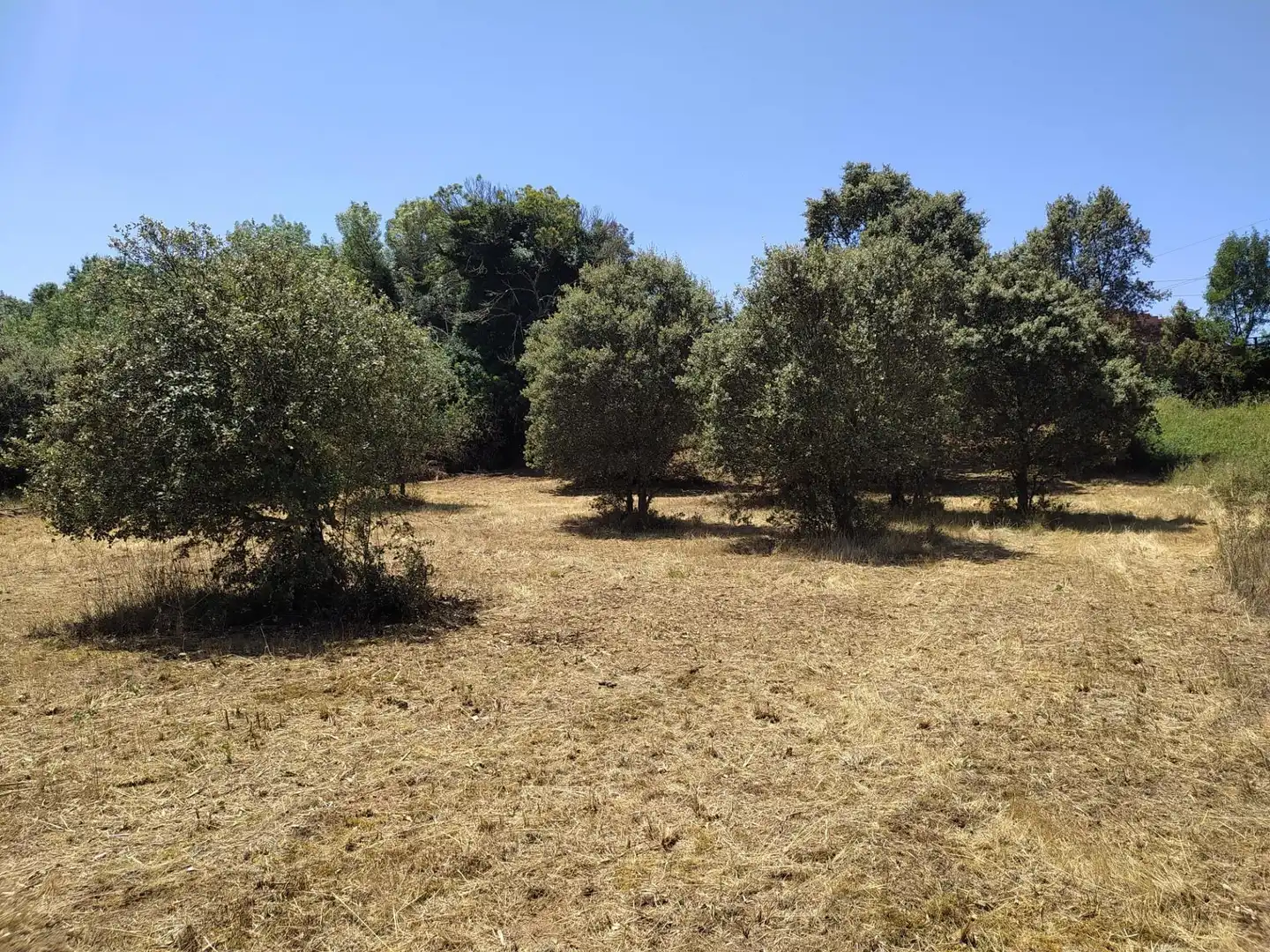 Terreni e lotti in vendita a Cubillos del Sil, imagen 6