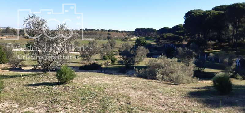 Country house for sale in Almonte ciudad