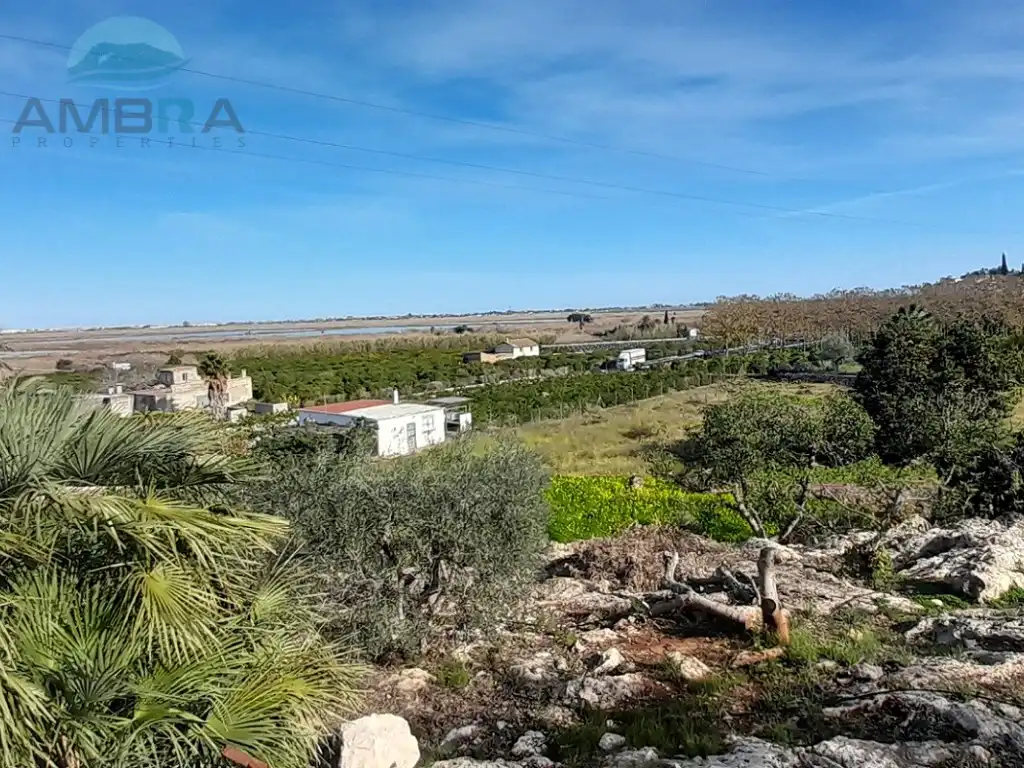 Rural land for sale in Partida racons, imagen 4