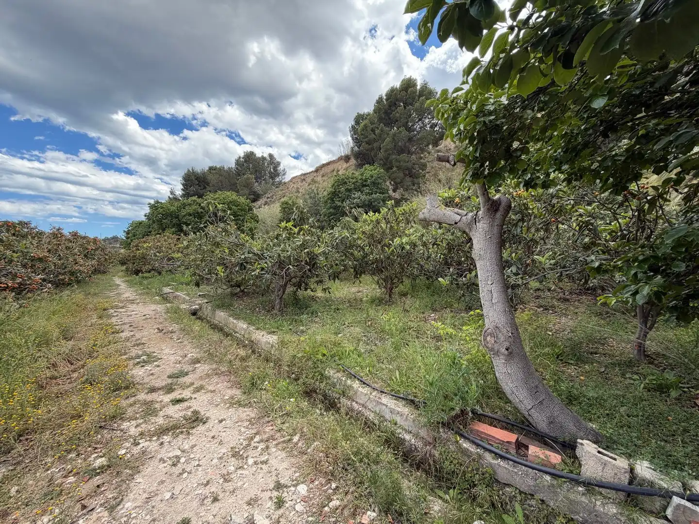 Finca rústica en venda en La Nucia amb Traster