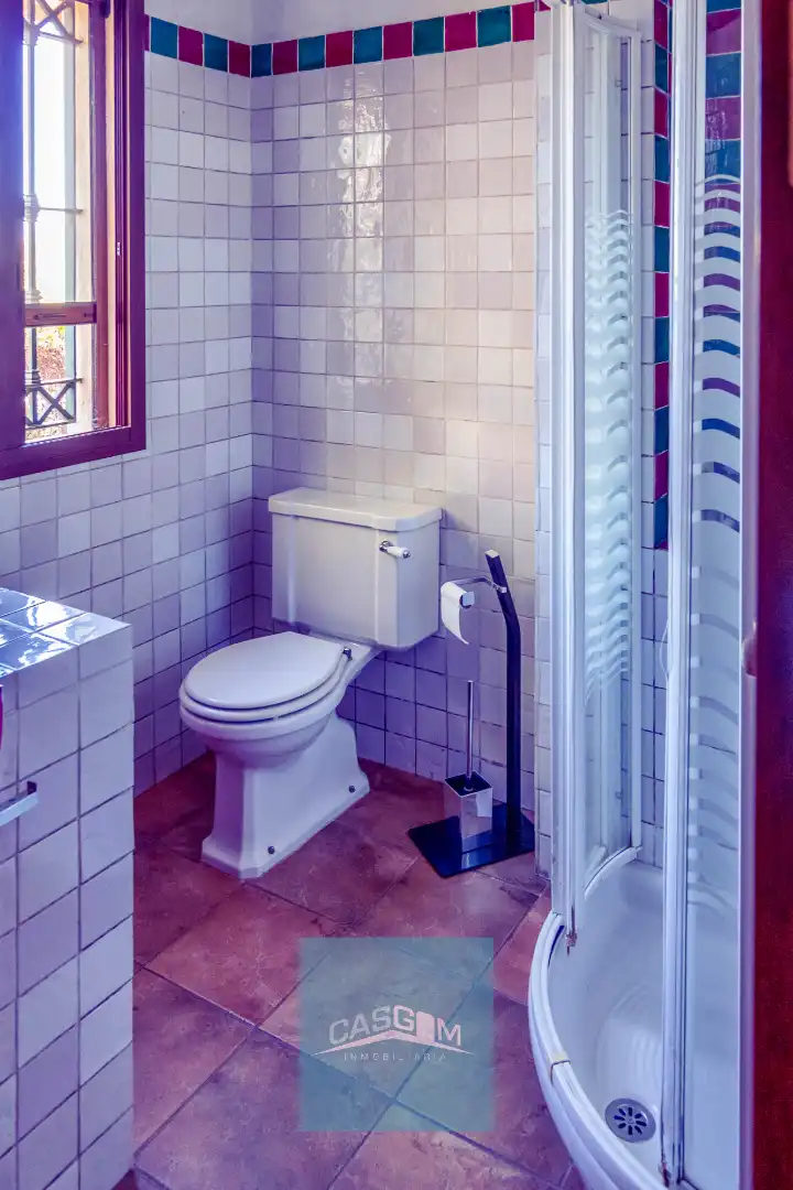 Xalet amb terrassa en venda a Dehesa - Monacilla, imagen 23