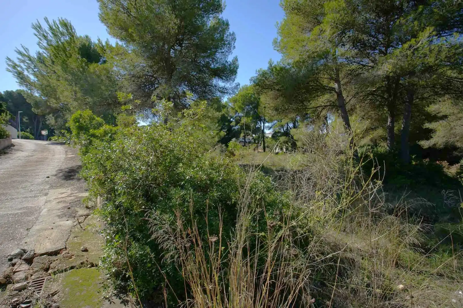Residential land for sale in Centro ciudad, imagen 4