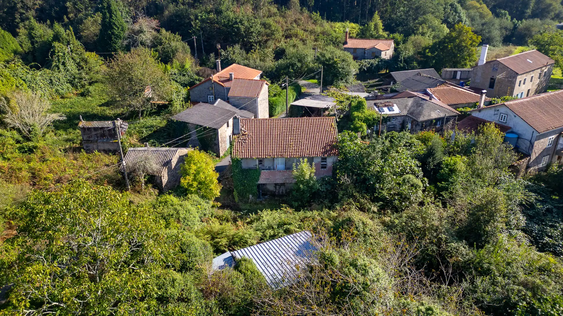 Exterior view of Country homes for sale in Vilarmaior