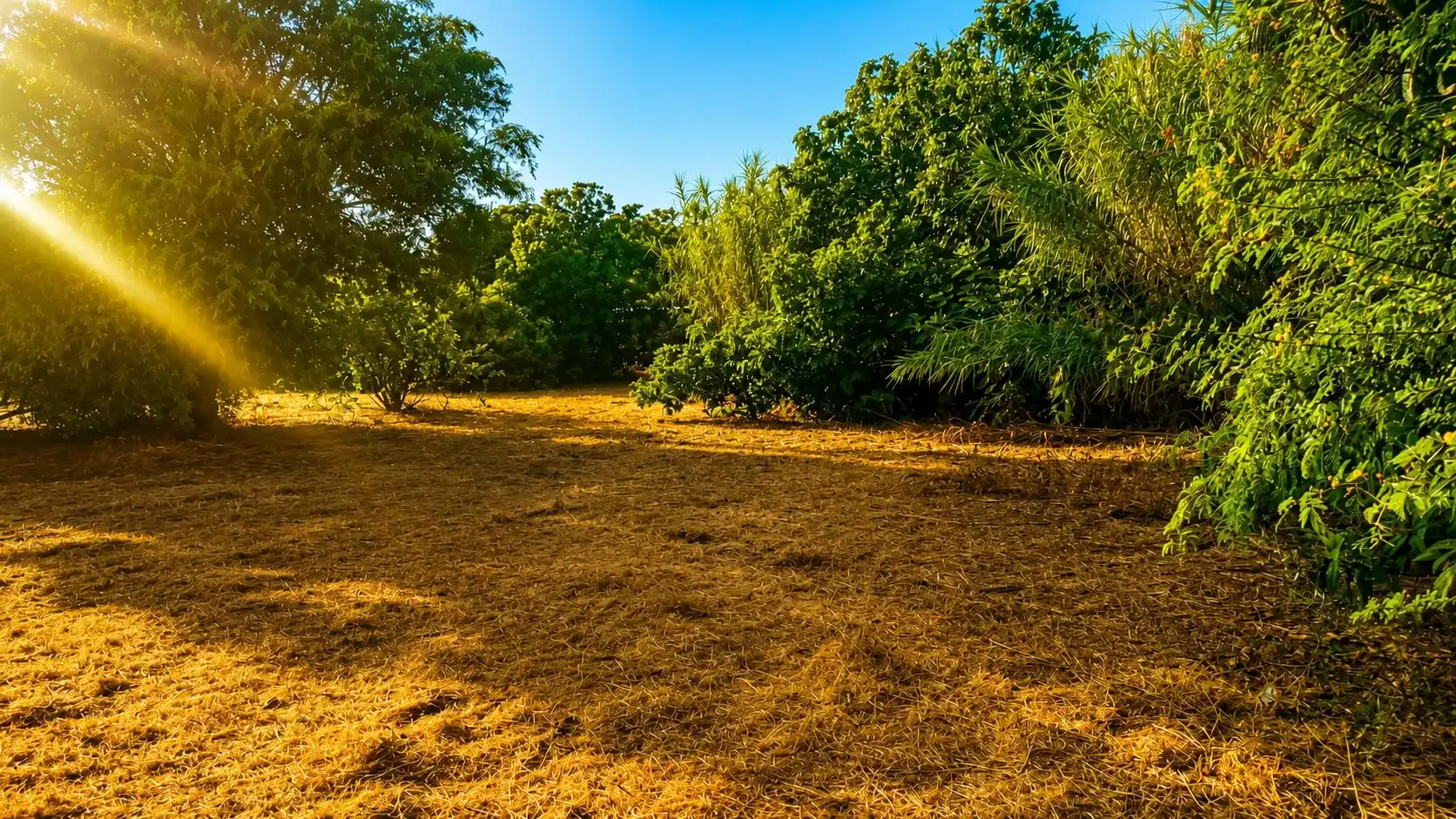 Wohnbaugrundstück zum Verkauf in La Banda - Campo de Fútbol, imagen 3