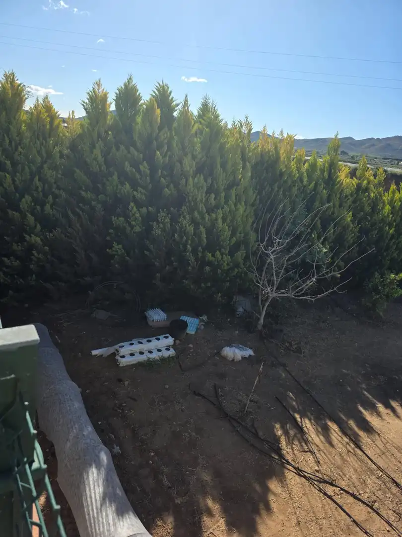 Detached house with garden for sale in Huércal-Overa, imagen 10
