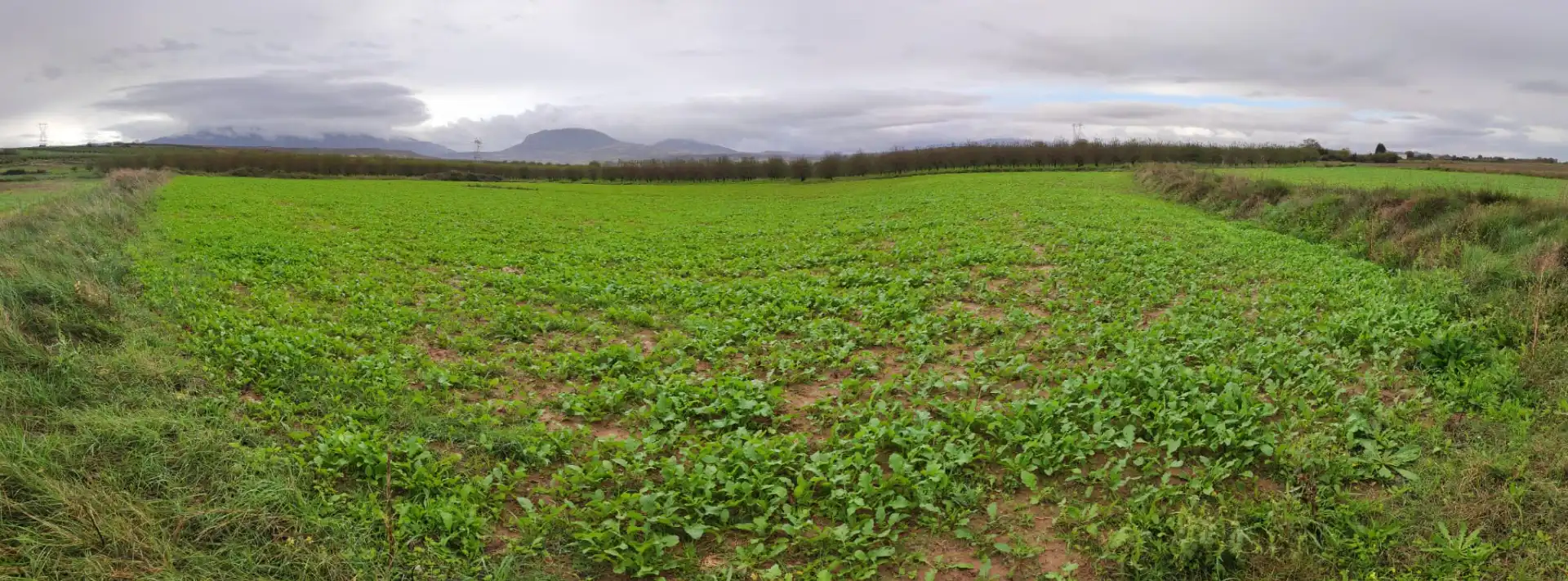 Terrenys i solars en venda a Alberite, imagen 3