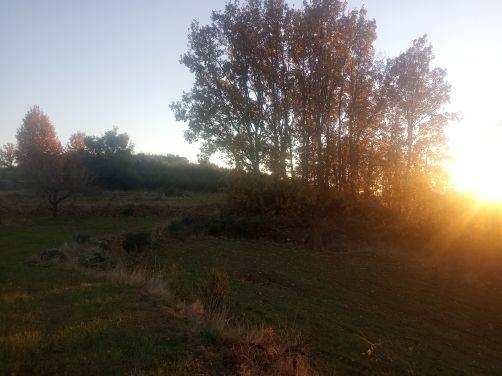 Terreno en Venta en Jarandilla de la Vera