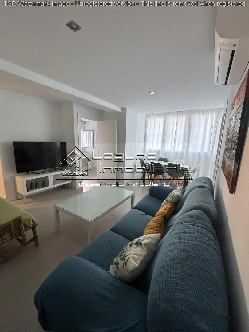 Sala de estar de Piso de alquiler en Cádiz con Amueblado