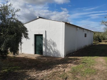 Terreno rustico in vendita a Calle Cuesta Garrote
