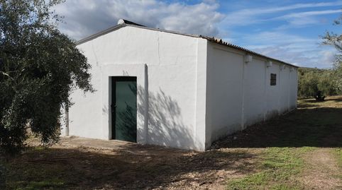 TERRENO CON NAVE
