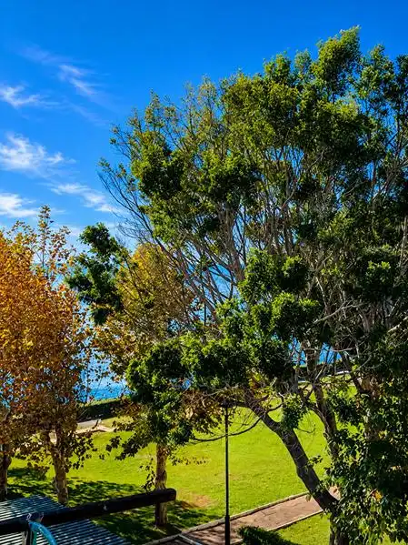 Pis amb jardí en venda a Selwo, imagen 8
