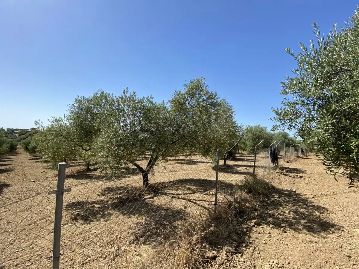 Casa rústica en venta en Gibraleón, imagen 6
