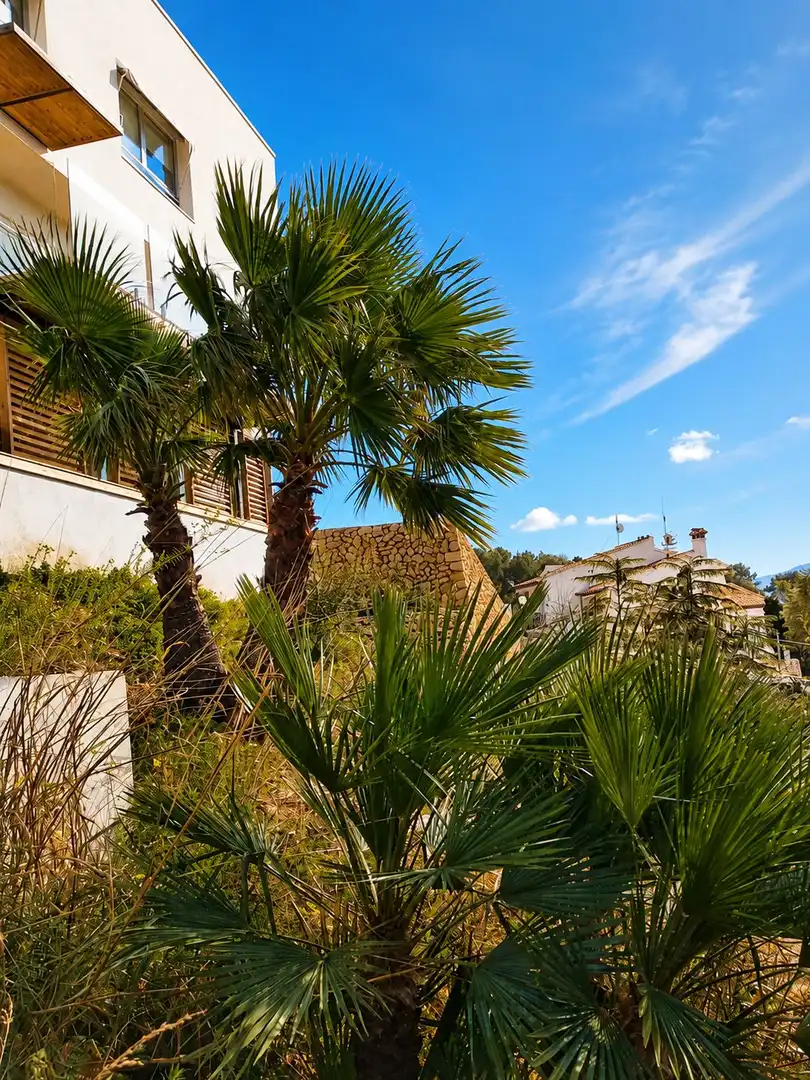 Vista exterior de Casa o chalet en venta en Gandia con Calefacción, Jardín privado y Terraza