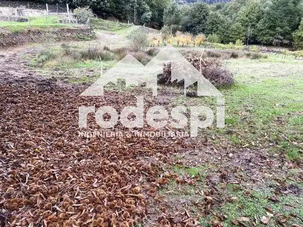 House for sale in Crecente, imagen 40