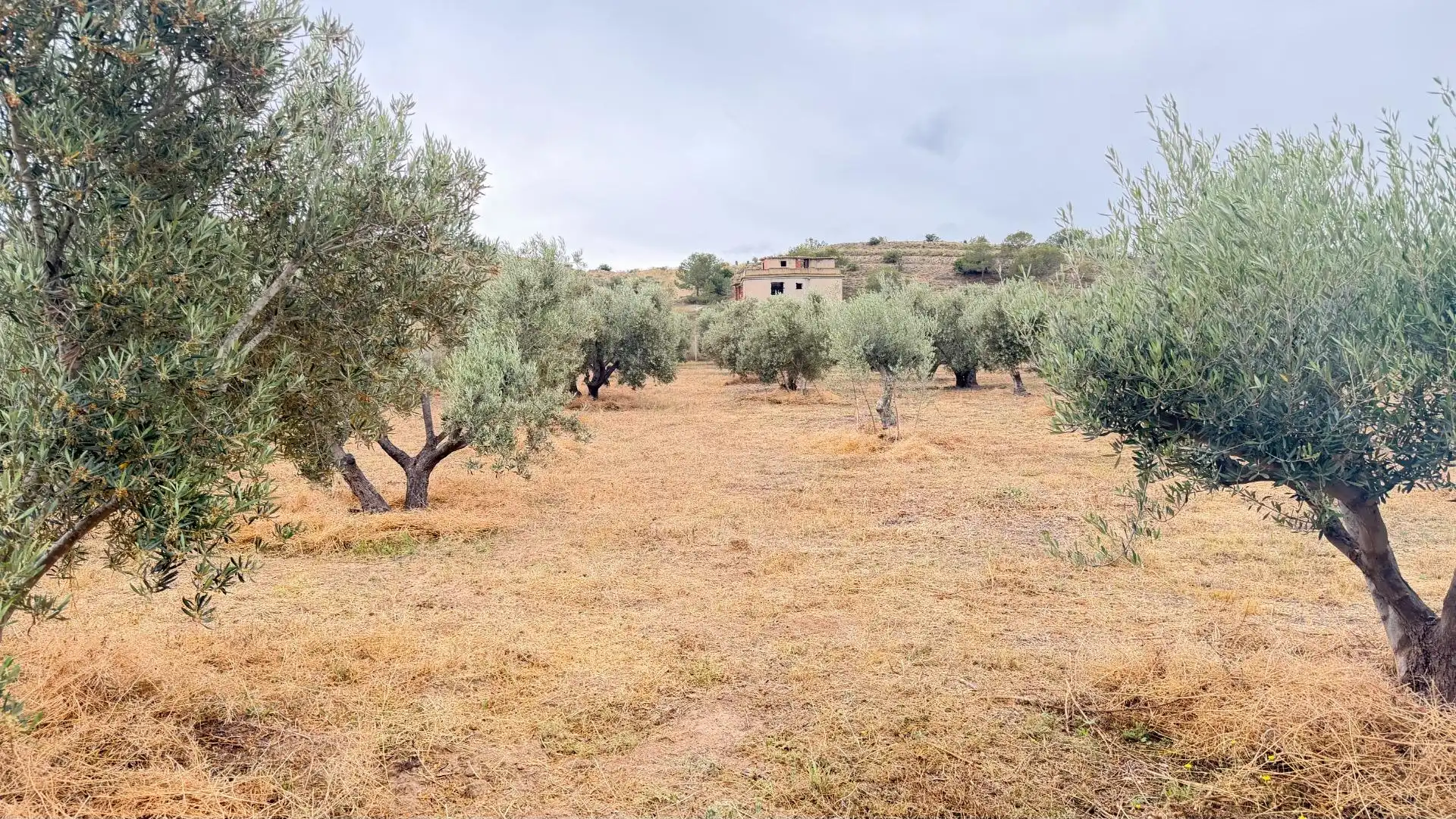 Houses for sale in Elche / Elx  with Heating, Private garden and Storage room