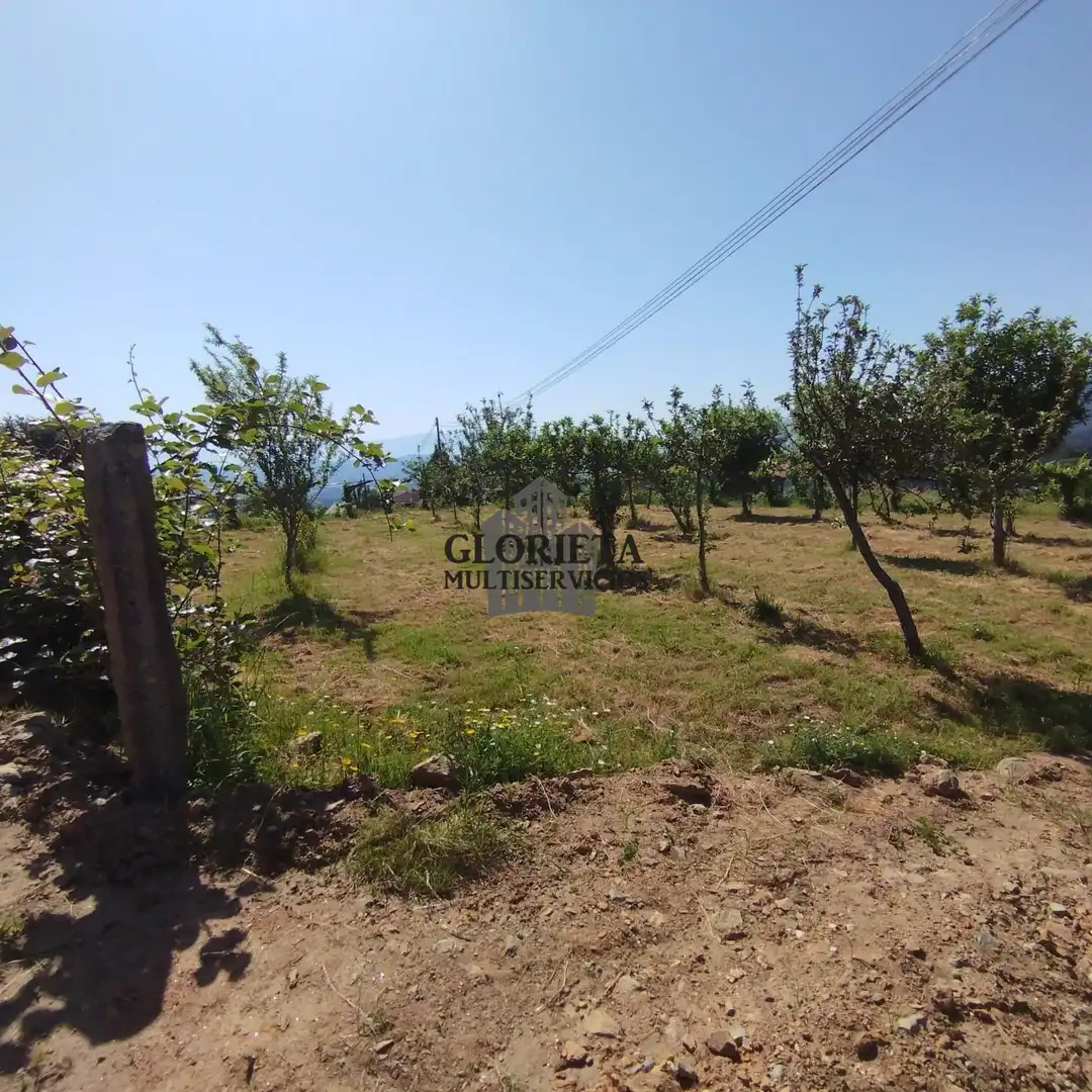 Terreny rústic en venda a Escusa (A)-Chenlo, imagen 4