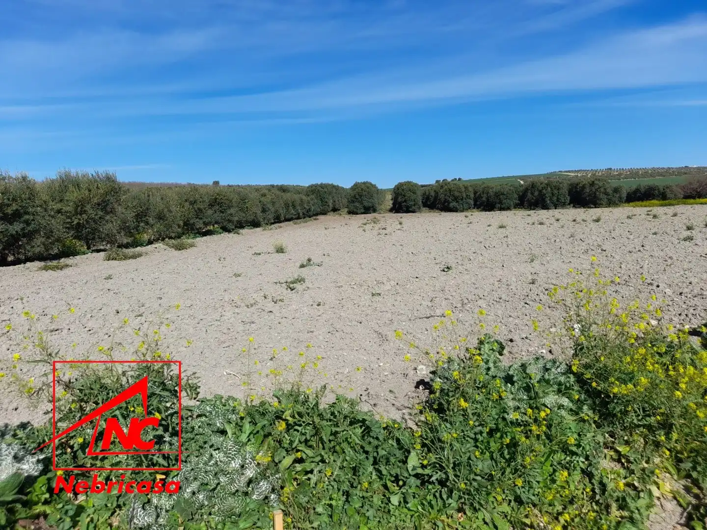 Terreni e lotti in vendita a Lebrija, imagen 2