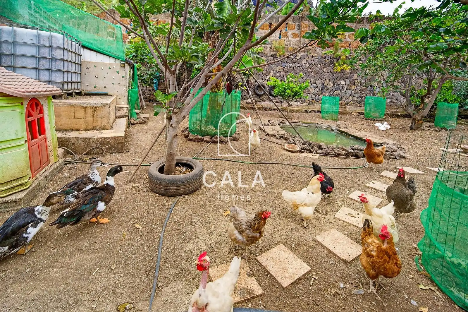 Garden of Houses for sale in Garachico  with Private garden, Terrace and Furnished