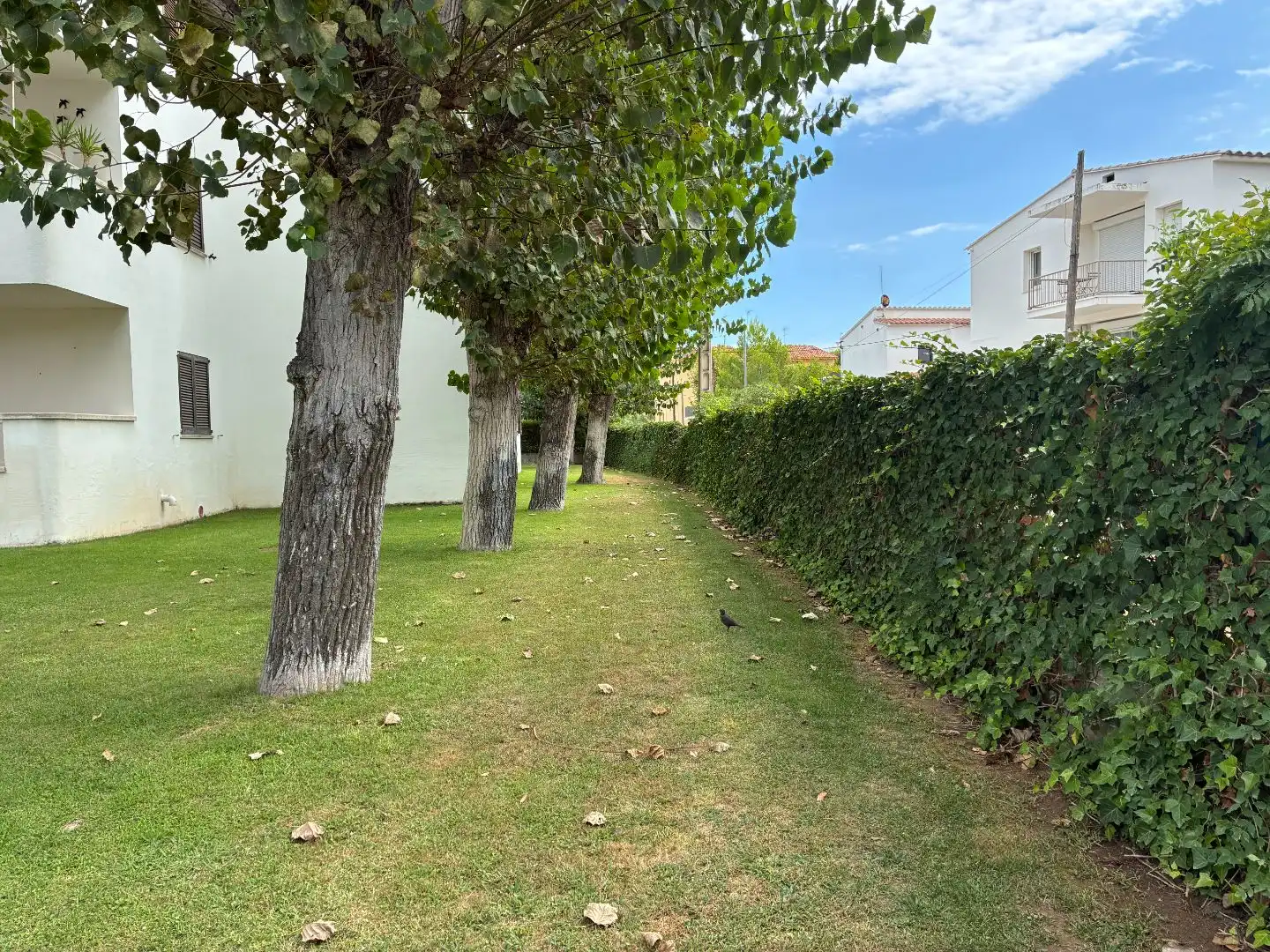 Apartamento con piscina en venta en Carrer Fondo 9, imagen 24
