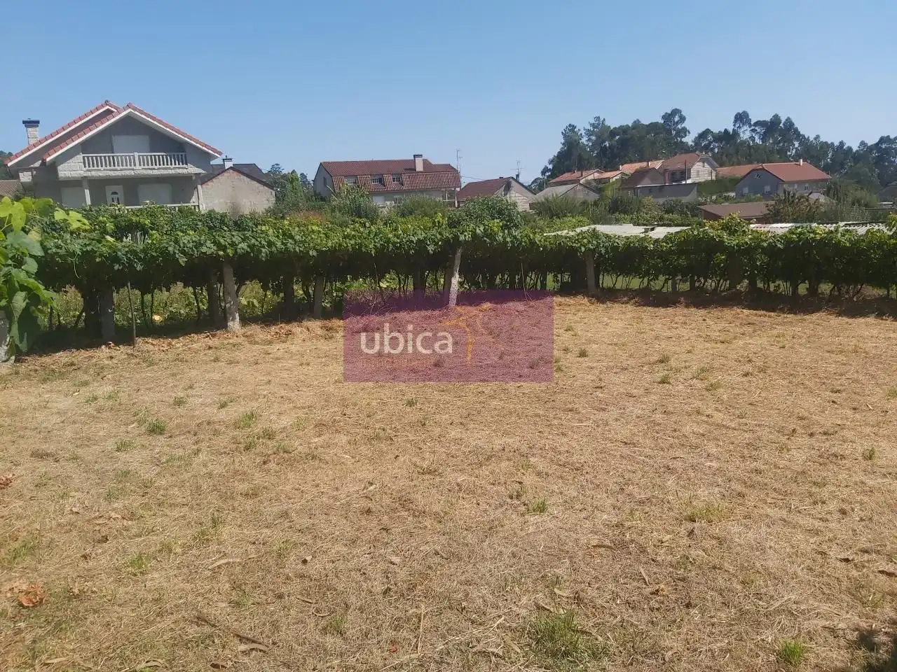 Lands and plots for sale in Salceda de Caselas, imagen 8