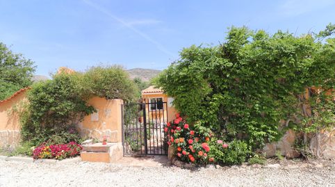 Foto 4 de Finca rústica en venta en N/a, -1, Hondón de las Nieves / El Fondó de les Neus, Alicante