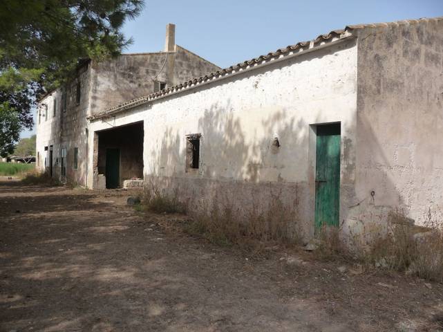 Finca rústica en Venta en Son Ferriol