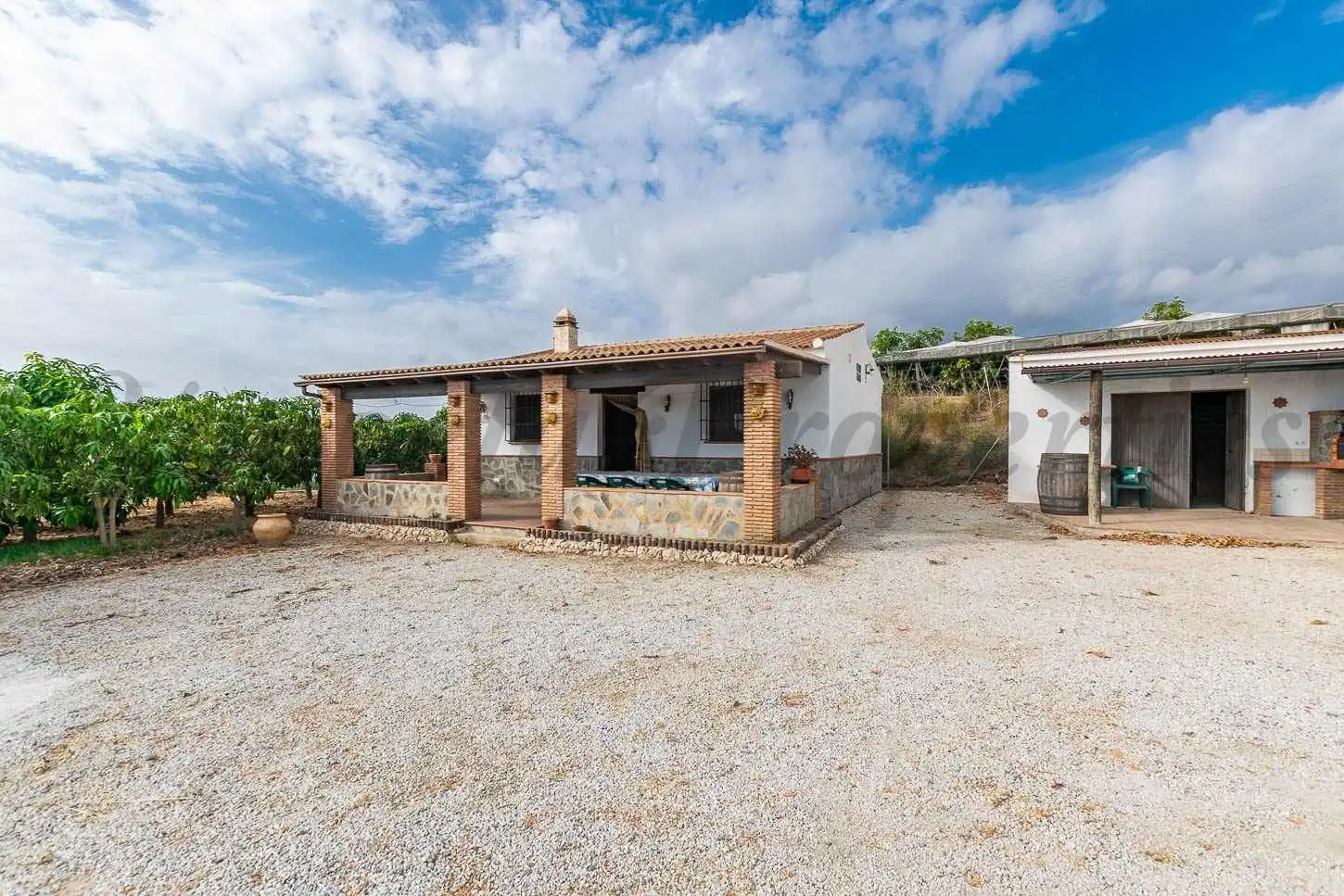 Casa amb jardí en venda a Algarrobo pueblo