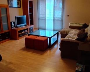 Living room of Flat for sale in Plasencia  with Air Conditioner, Terrace and Furnished