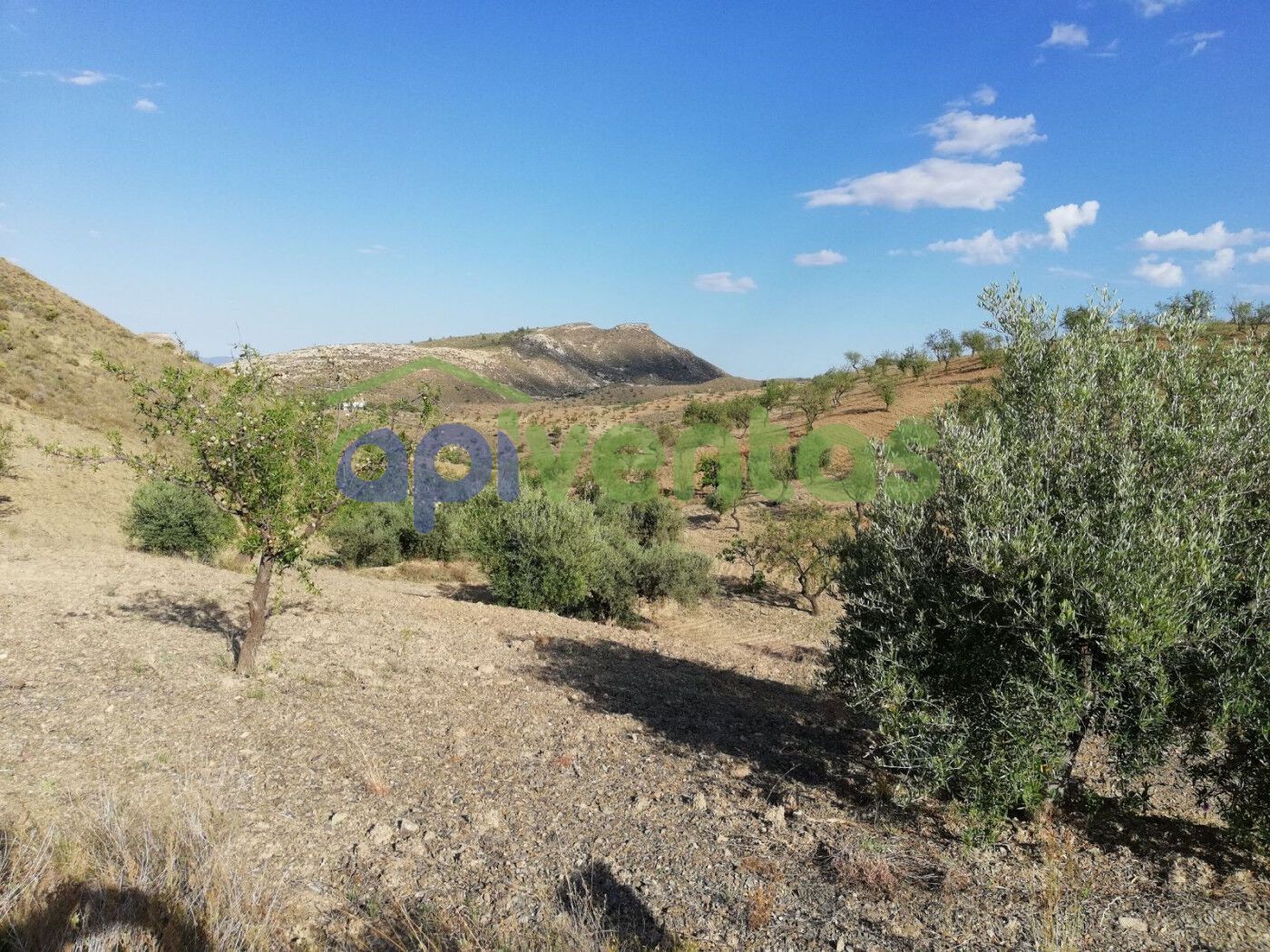 Finca rústica en venda en Lorca