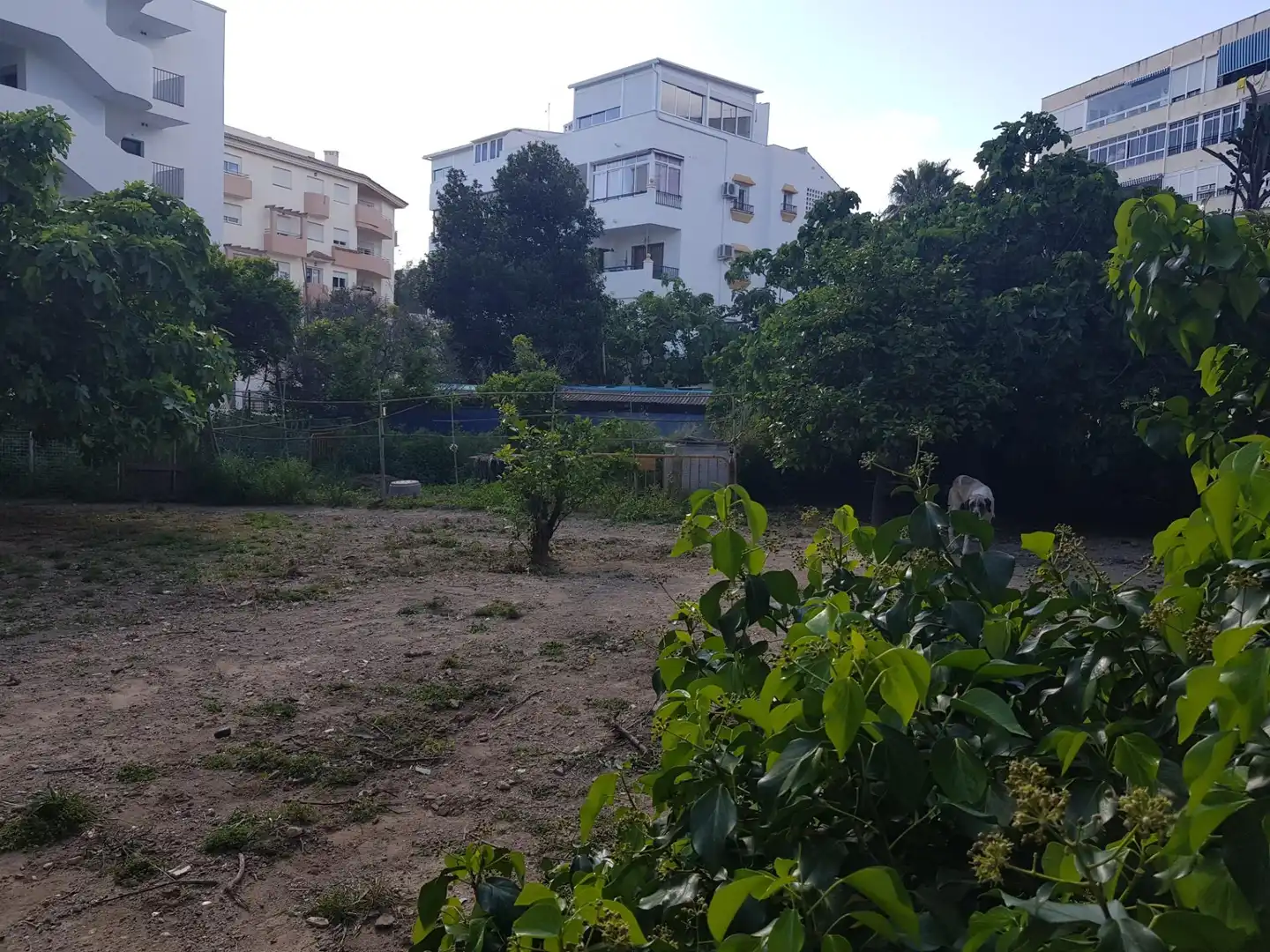 Terrenos y solares en venta en Calle Los Bancales, imagen 2