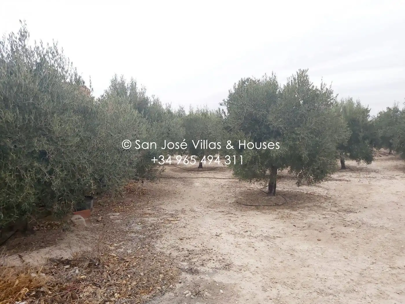 Casa o xalet en venda en Aspe amb Calefacció i Jardí privat
